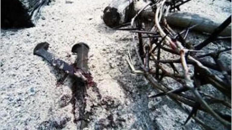 Who Killed Jesus Christ? Who Killed Jesus Christ?