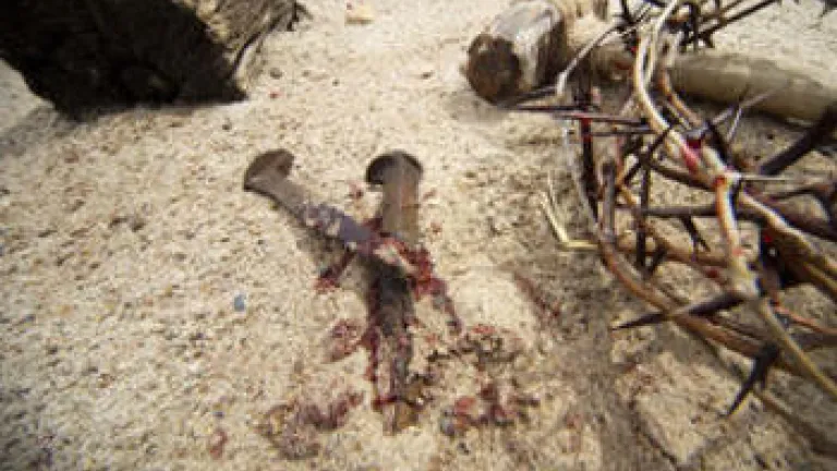 Who Really Killed Jesus?