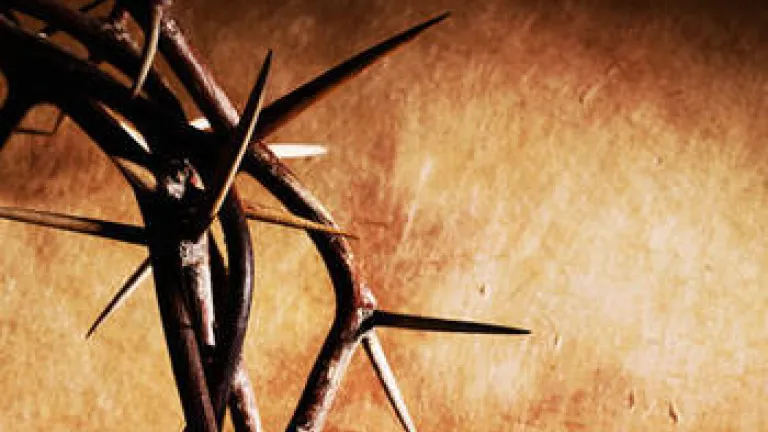 Who Was Jesus? Who Was Jesus?
