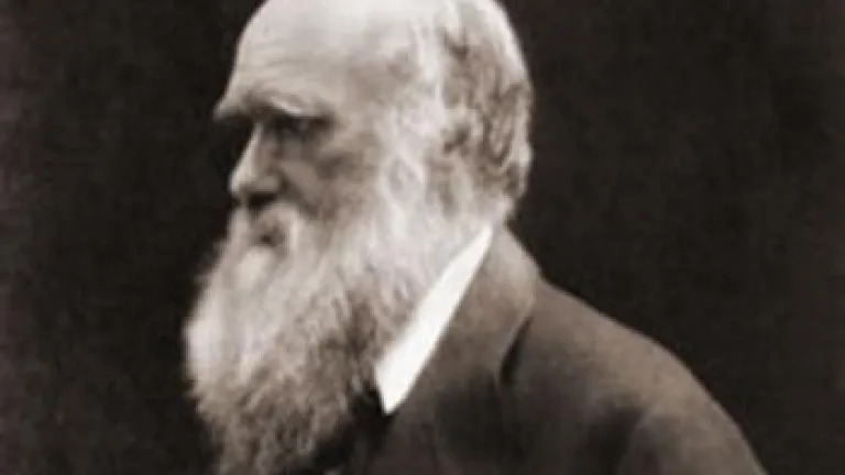 Why Charles Darwin Rejected the Bible Why Charles Darwin Rejected the Bible