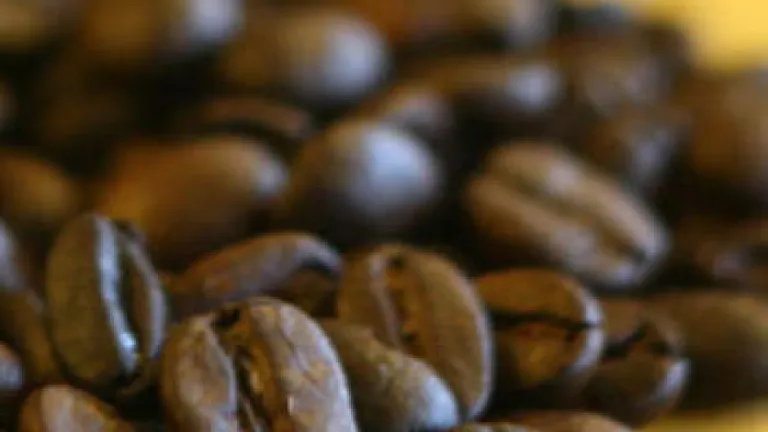 Why I Don't Boycott Starbucks for Supporting Planned Parenthood