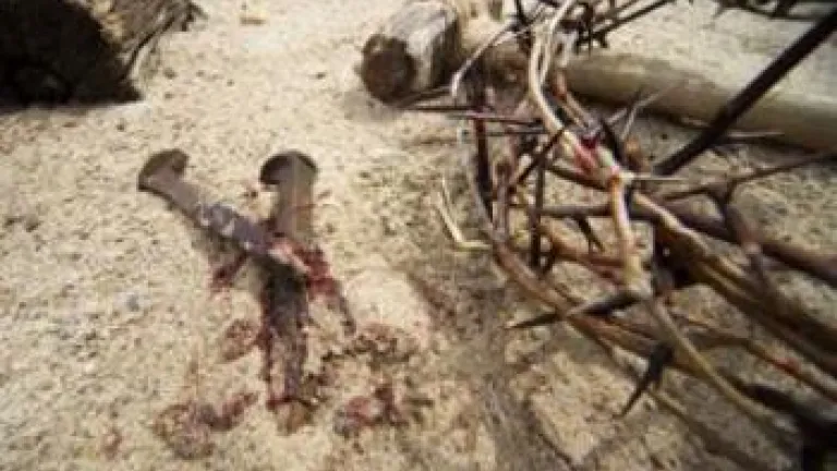 Why Was Jesus Christ Crucified?