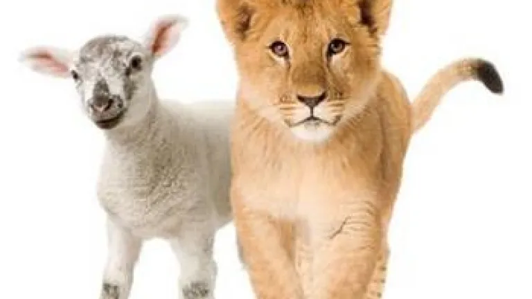 Will World Peace Come in Our Time?