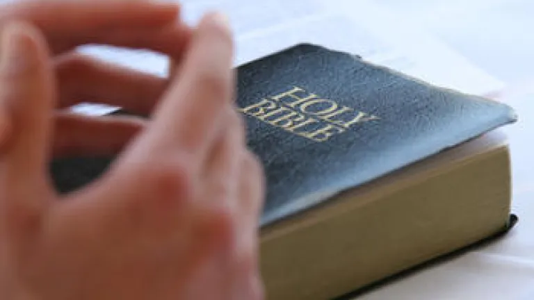 Hand on top of a Bible.