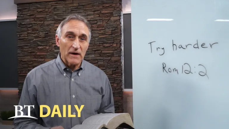 BT Daily: Lessons from a Fly - Part 3