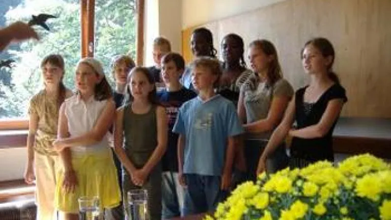 12 Children Enjoy Summer Camp in Germany