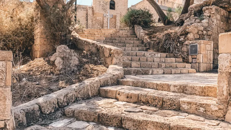 a stone staircase and building with trees on either side