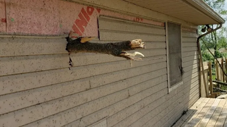 A tree branch punctures a Dayton home.