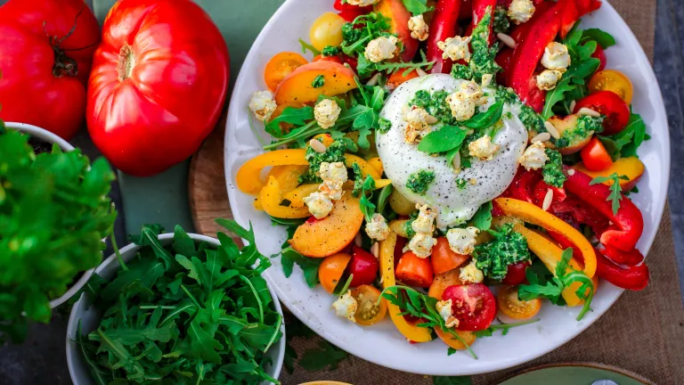 Submit your recipes for the cookbook!