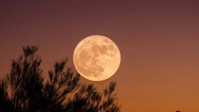 a full moon against a night sky with an orange glow and tree branches in the foreground