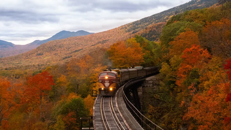 a train surrounded by autumn leaves amidst mountainous terrain