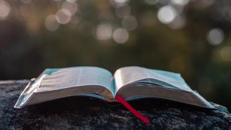 An open Bible laying on a rock.