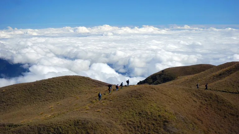 "We have come too far to turn back. What we need is endurance."
