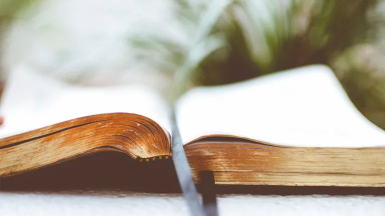 An open Bible.