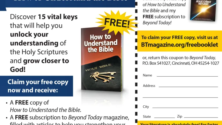 This is a graphic of the newspaper advertisement.