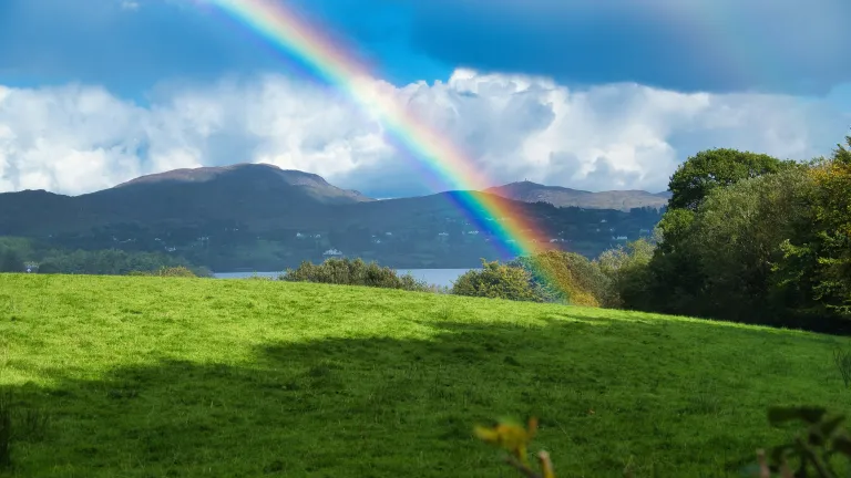 Photo of rainbow over green mountain field.