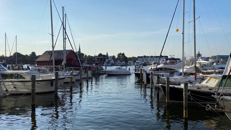 Photo of the harbor in Annapolis, Maryland.