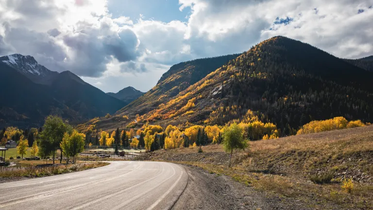 A road leading into a landscape of fall foliage