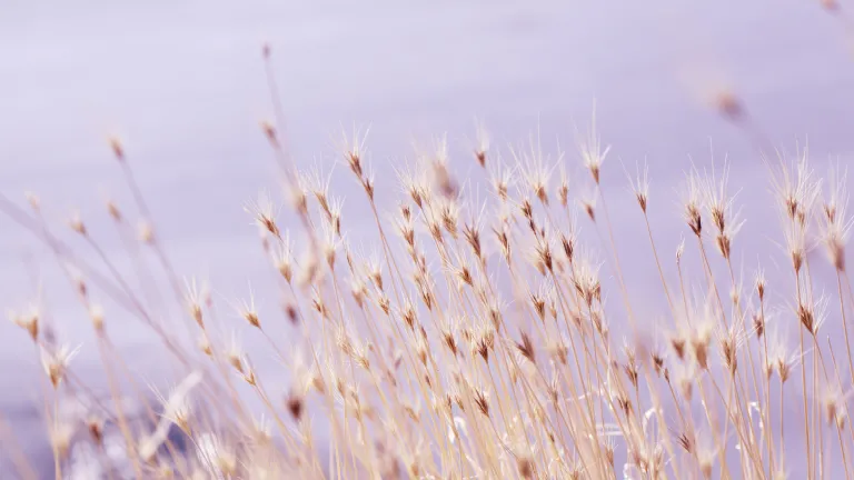 This year could actually be the most inspiring Feast ever!