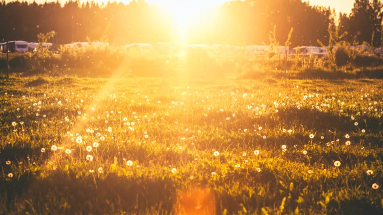 Photo of a field at golden hour.