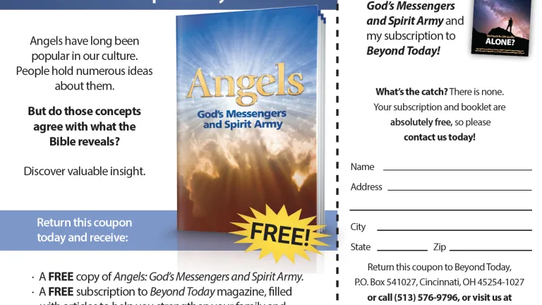 This is a graphic of the Angels newspaper insert advertisement.