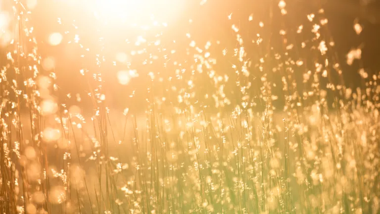 Update from the President—Coronavirus Announcement