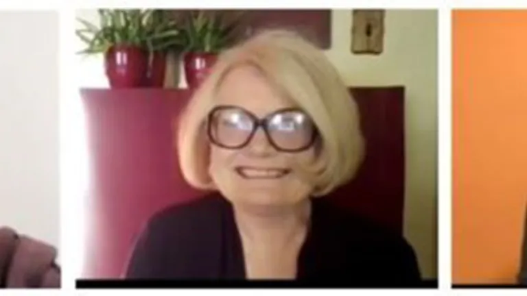 Screenshots of some of the participants in Sunday's seminar: Lisa Fenchel, Carol Szymkowiak and Barbara Welch.