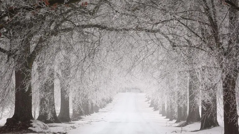 Join us in Dayton for the Women's Enrichment Weekend.