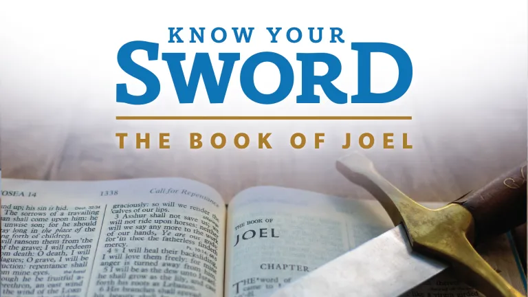Know Your Sword: Joel Know Your Sword: Joel