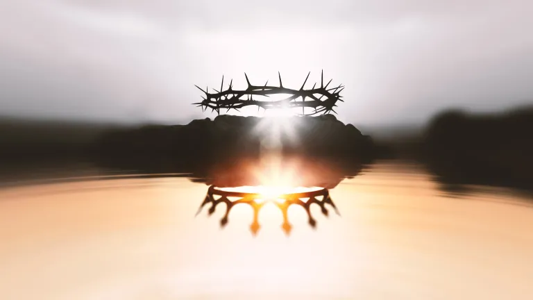 An artistic visualization of a crown of thorns and kings crown.