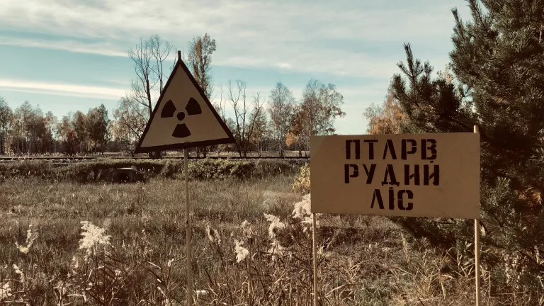 The famous Red Forest near Chernobyl Nuclear Power Plant in the Exclusion Zone. Life goes on in certain areas near the site of the nuclear accident, but the Chernobyl Exclusion Zone remains. A photo of the famous Red Forest near Chernobyl Nuclear Power Plant in the Exclusion Zone.
