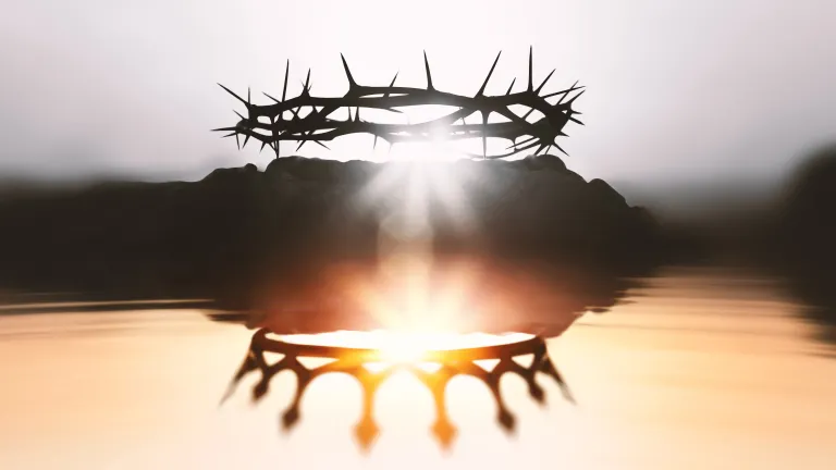 A crown of thorns with a reflection of king's crown.