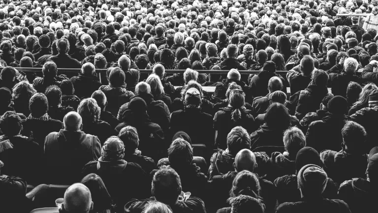 Crowd of people facing away