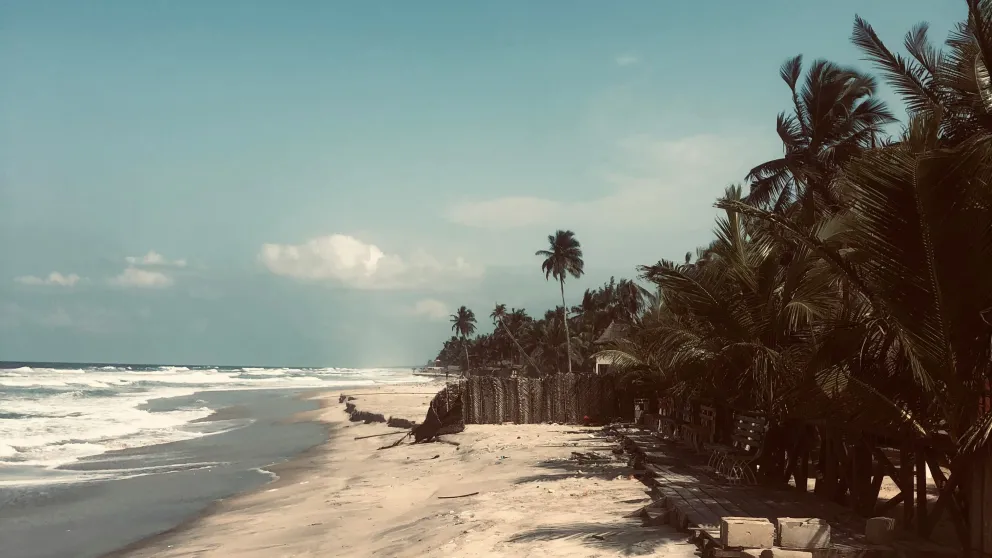 a sandy beach at the ocean's edge with dark green palm trees further in on the sand