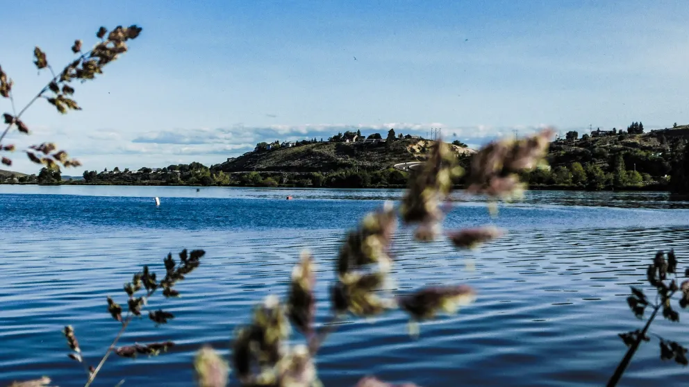 a body of water with a few strands of grass waving in the foreground