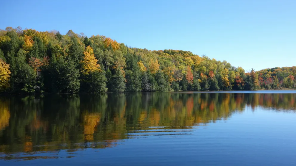 a lake with green trees beginning to turn into autumn colors