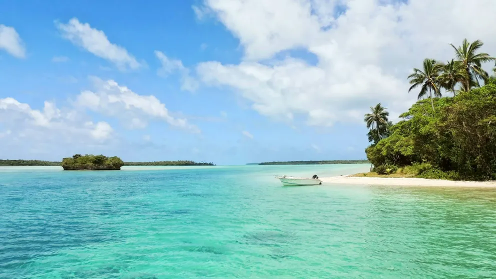 a bright blue ocean with a sandy coast covered in trees