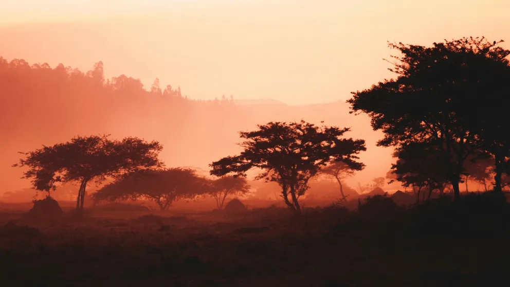 trees and hills silhouette against a red sky