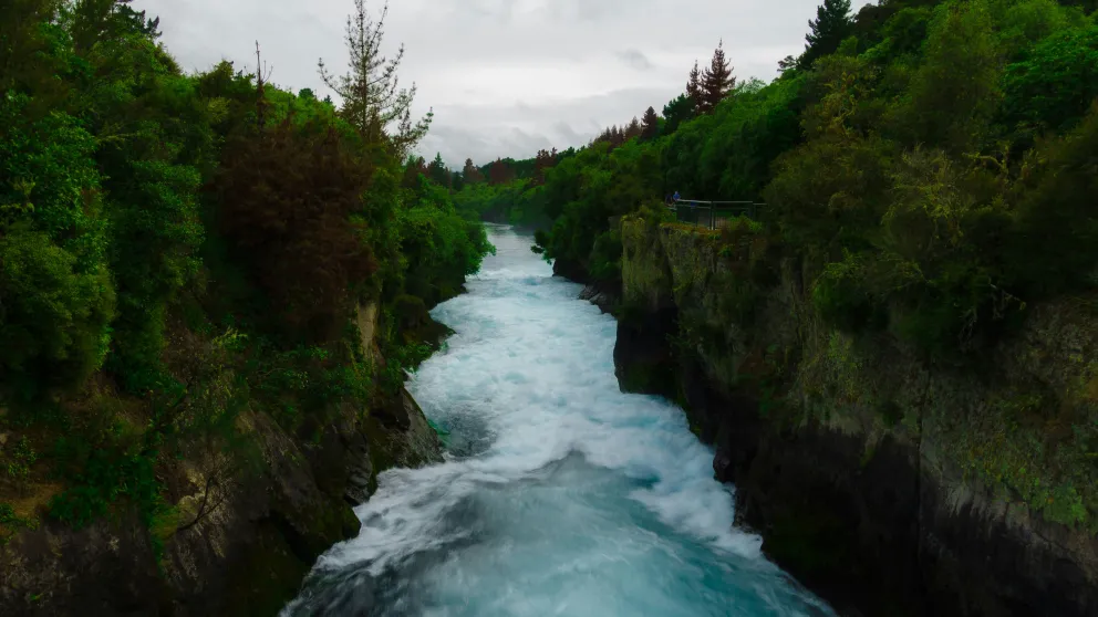 a river rushing through a green landscape with trees on either side of the water