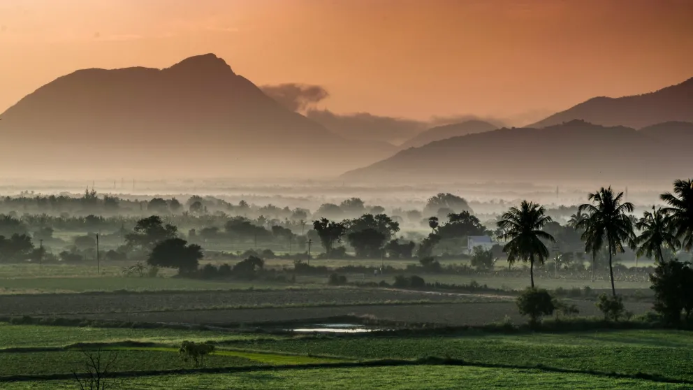 a green landscape with an orange horizon over rolling hills and trees