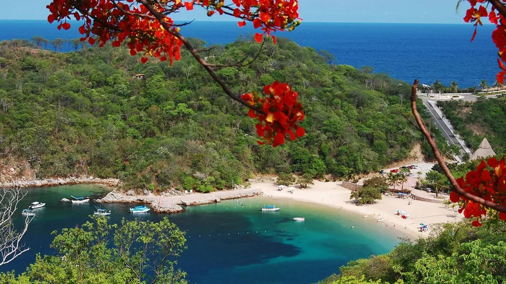 a bay surrounded by green hills