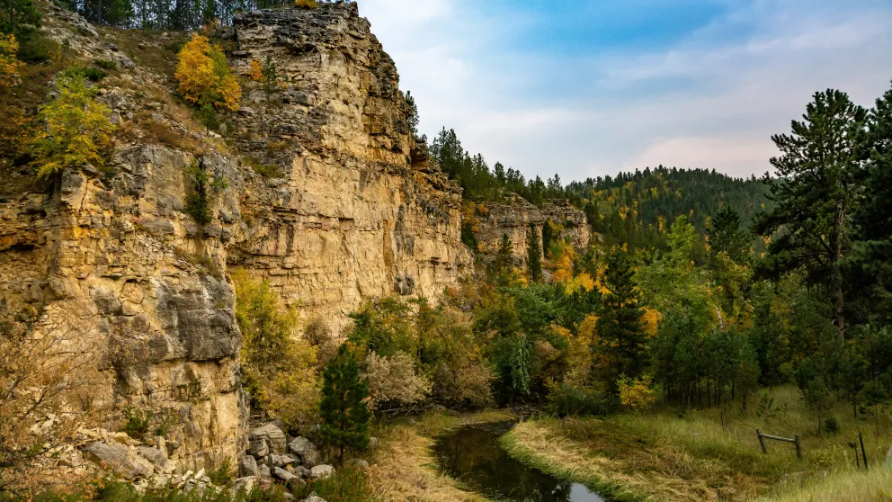 a green and rock cliffside overlooking a road