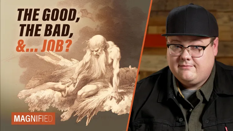 The Good, The Bad, and the Job