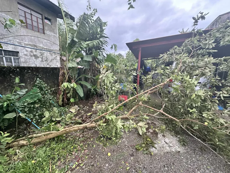 Typhoon Tino Damage