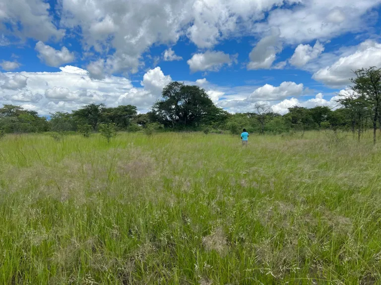 Undeveloped Land in Zimbabwe