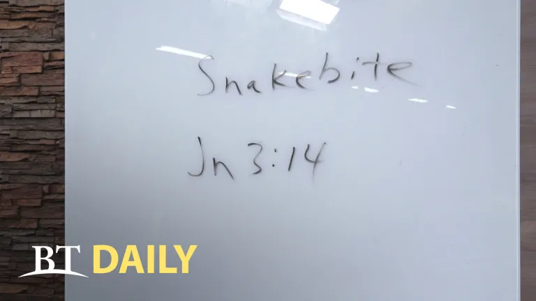 BT Daily: How to Cure a Snakebite