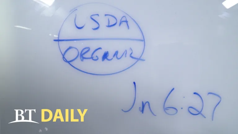 BT Daily: Working for the Best