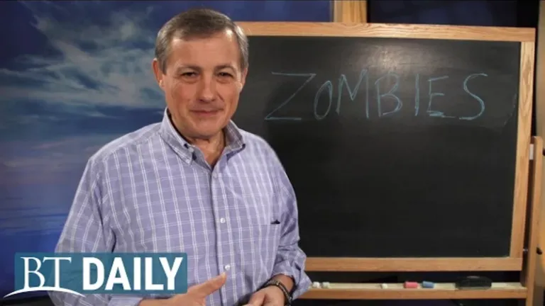 Zombies: Why Is There So Much Interest?