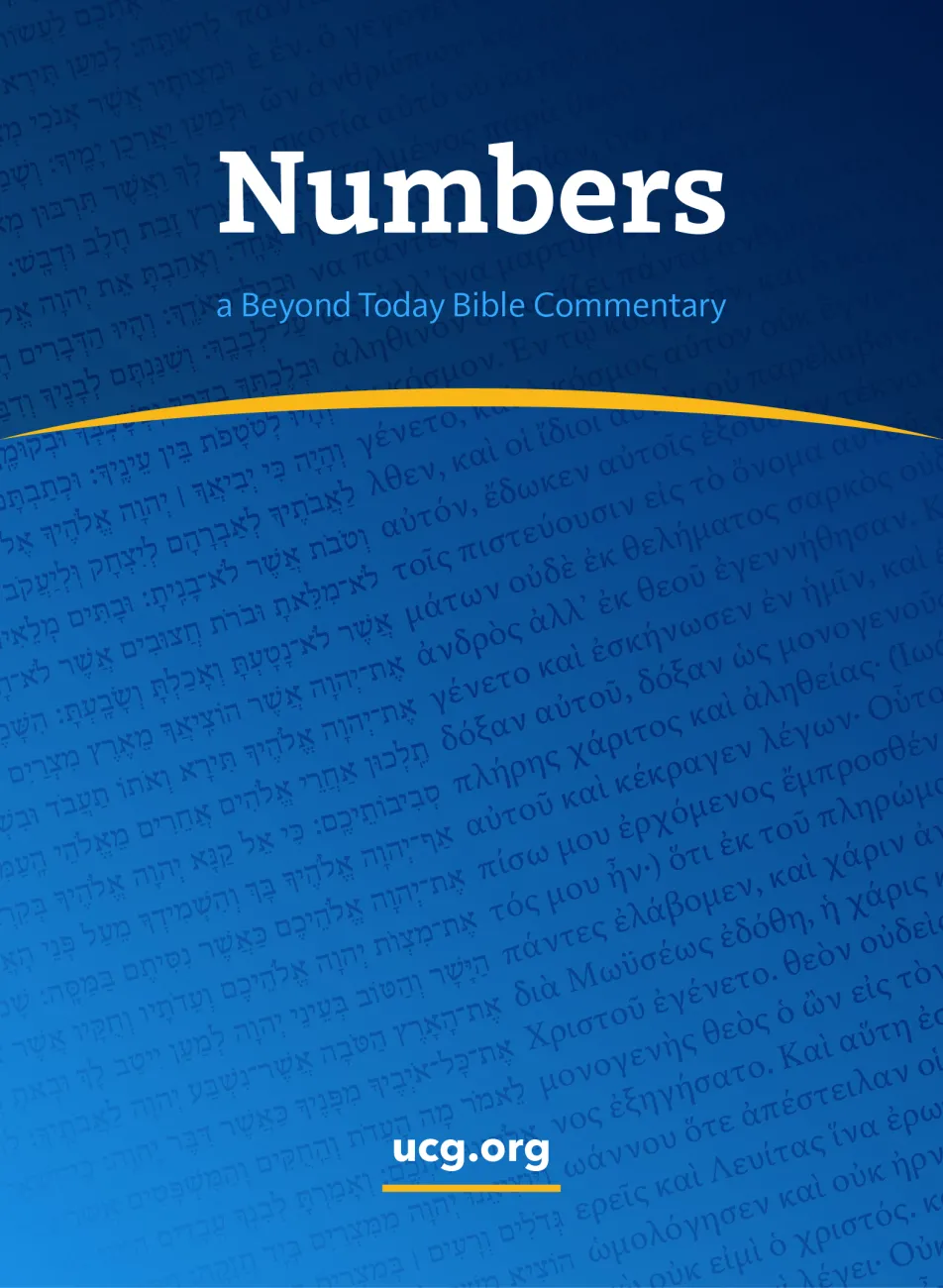 Numbers Bible Commentary