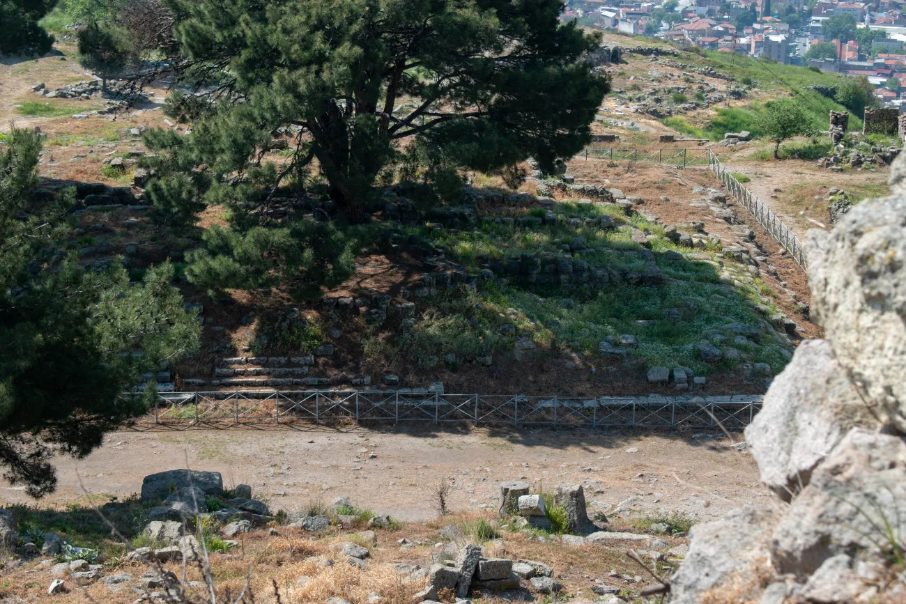 Location of the Altar of Zeus, which may have been the "throne of Satan" mentioned in Revelation. a tree growing amidst ancient stone ruins
